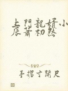 上门龙婿小说叶辰萧初然