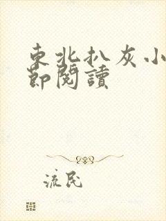 东北扒灰小说分节阅读封面