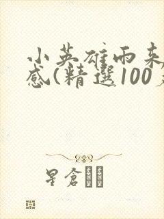 小英雄雨来读后感(精选100篇)封面