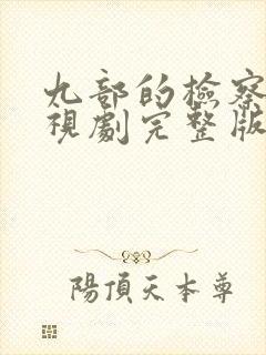 九部的检察官电视剧完整版在线观看封面