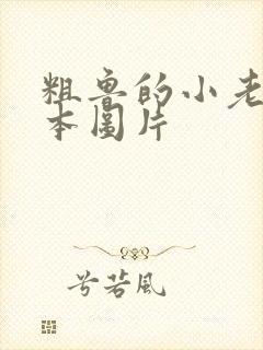 粗鲁的小老鼠绘本图片