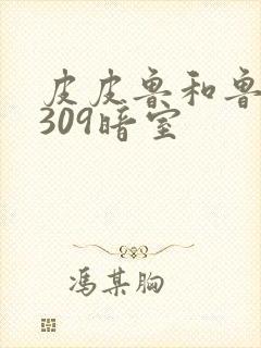 皮皮鲁和鲁西西309暗室