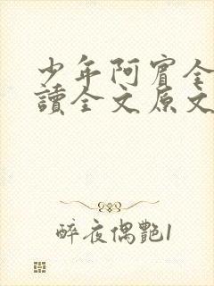 少年阿宾全文阅读全文原文