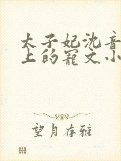 太子妃沈音和皇上的宠文小说