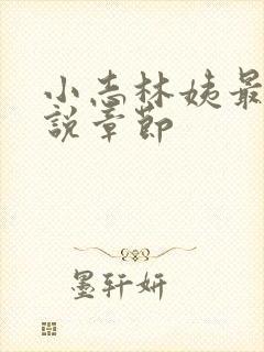 小志林姨最新小说章节封面