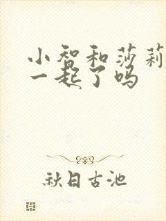 小智和莎莉娜在一起了吗