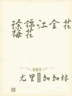 徐锦江金花瓶楷梅花封面