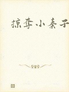 掠夺小秦子