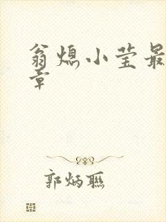翁熄小莹最新节章