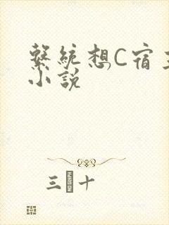 系统想C宿主的小说