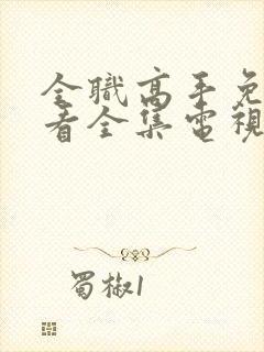 全职高手免费观看全集电视剧