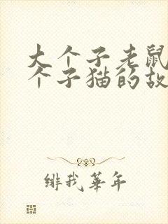 大个子老鼠与小个子猫的故事