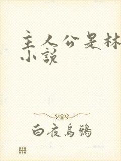 主人公是林正的小说