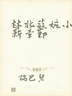 林北苏婉小说最新章节封面
