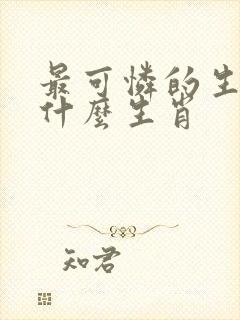 最可怜的生肖是什么生肖