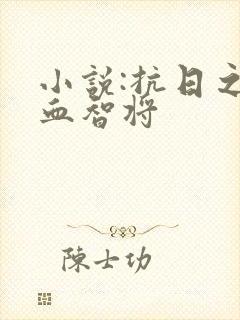 小说:抗日之铁血智将