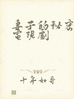 妻子的秘密日本电视剧