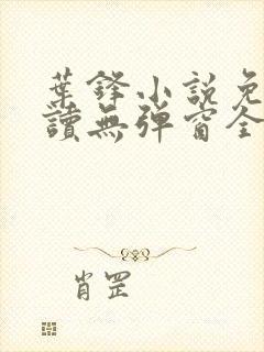 叶锋小说免费阅读无弹窗全文