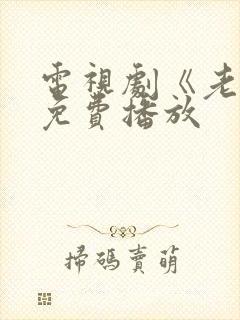 电视剧《老舅》免费播放