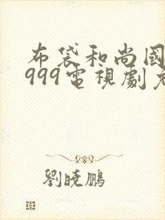 布袋和尚国语1999电视剧免费播放封面