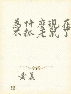 为什么现在的猫不抓老鼠了封面