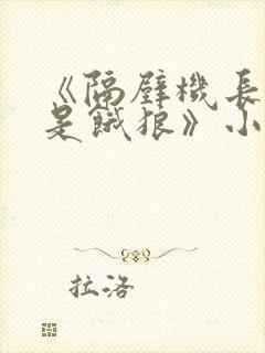 《隔壁机长大叔是饿狼》小说