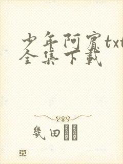 少年阿宾txt全集下载封面