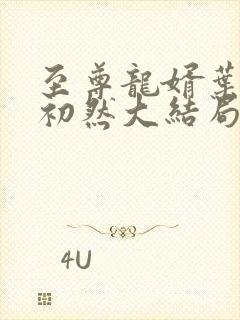 至尊龙婿叶辰萧初然大结局封面