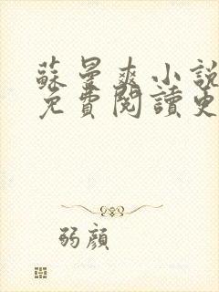 苏曼爽小说全文免费阅读更新时间