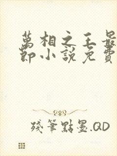 万相之王最新章节小说免费阅读