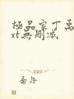 极品家丁禹岩txt无删减封面