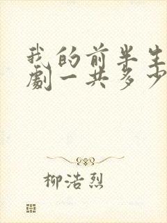 我的前半生电视剧一共多少集