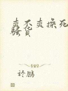 爽不爽操死你个骚货封面