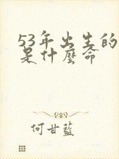 53年出生的蛇是什么命