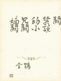 嫡兄的禁阙 华阙阙小说