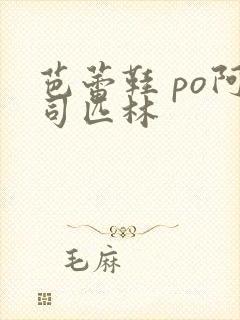 芭蕾鞋 po阿司匹林封面