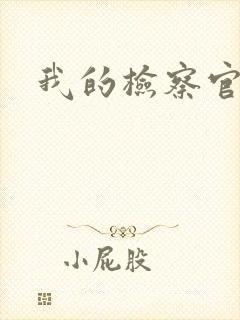 我的检察官先生