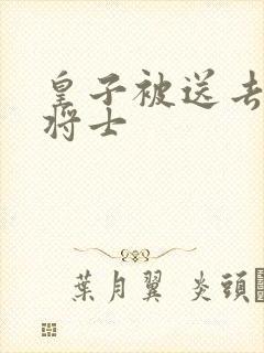 皇子被送去犒劳将士封面