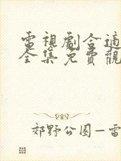 电视剧合适婚姻全集免费观看