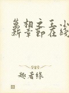 万相之王小说最新章节在线