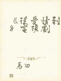 《从爱情到幸福》电视剧封面