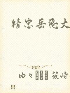 精忠岳飞大结局封面