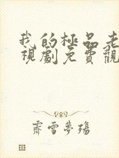 我的极品老妈电视剧免费观看全集