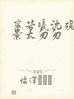 宁若曦沈砚舟盛景太匆匆封面