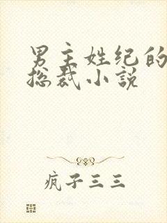 男主姓纪的霸道总裁小说