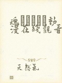 魂ィンサート动漫在线观看免费版封面