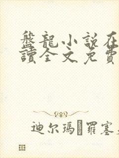 盘龙小说在线阅读全文免费无弹窗封面