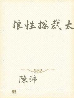 狼性总裁太凶猛封面