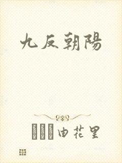 九反朝阳封面