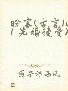 盼寡(古言1v1 先婚后爱)